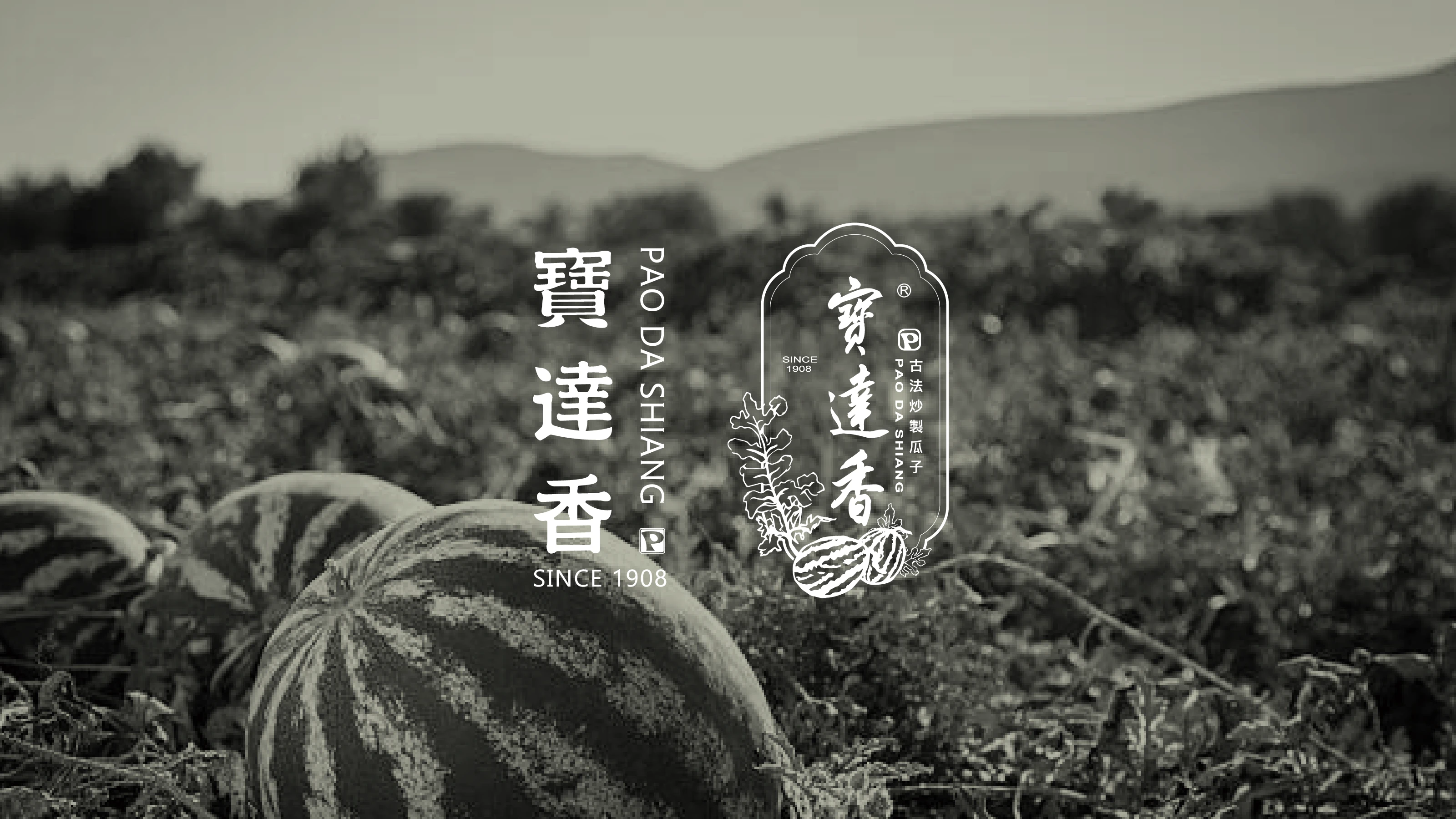 寶達香|品牌主視覺