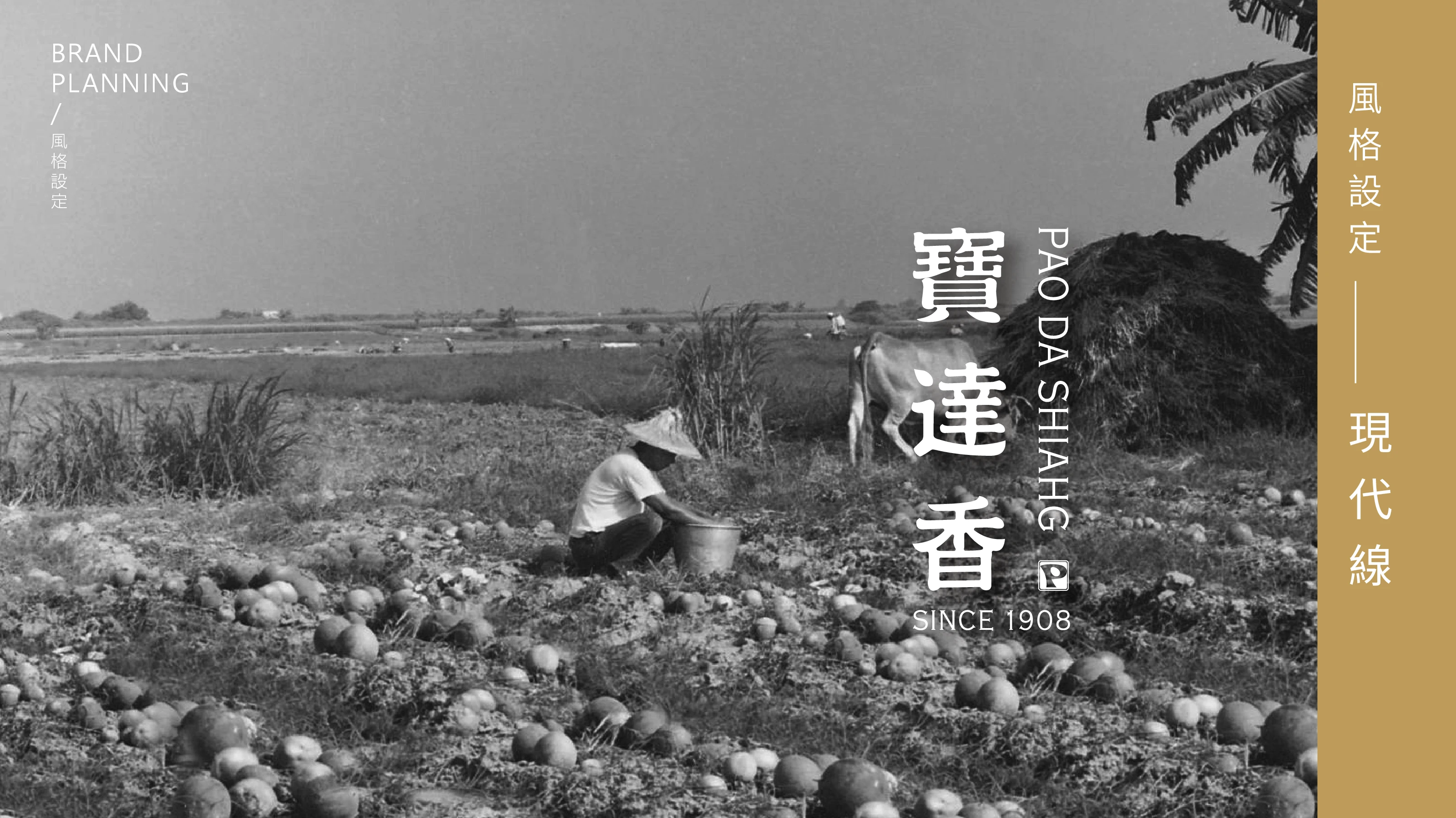 寶達香品牌識別設計 20