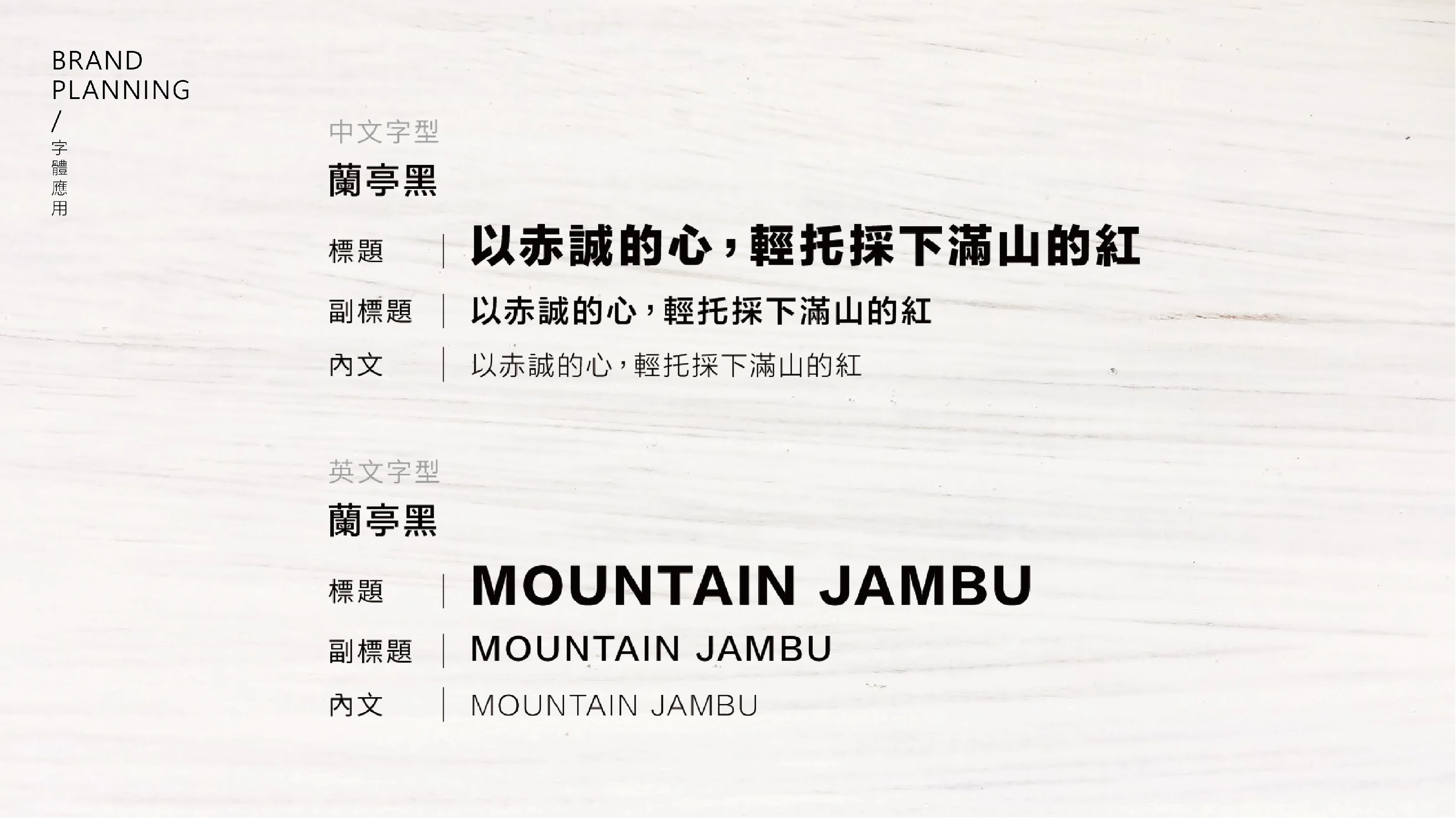 紅山農產品牌策略與識別設計 19