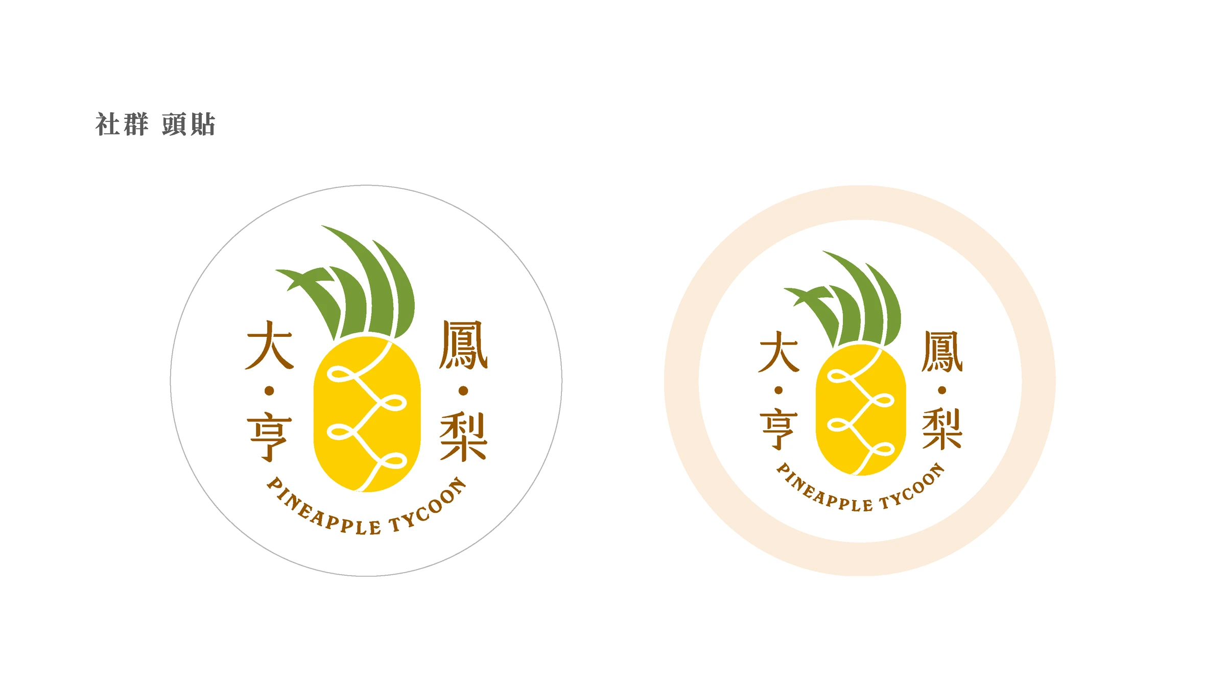 鳳梨大亨品牌識別、紙箱包裝與社群平台建置 29