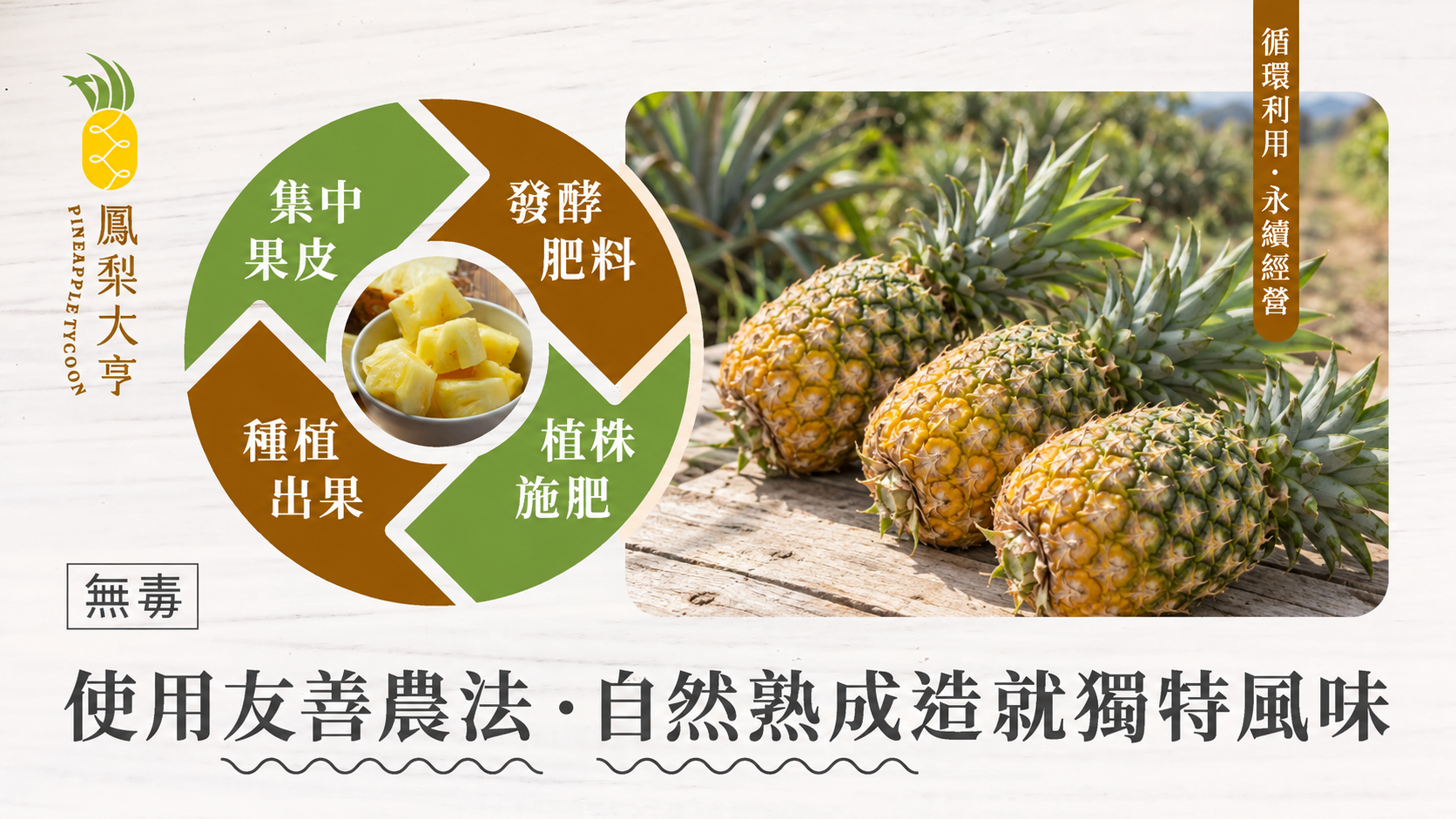 鳳梨大亨社群版面:循環利用主題,鳳梨照片為 2026 年生成情境替換